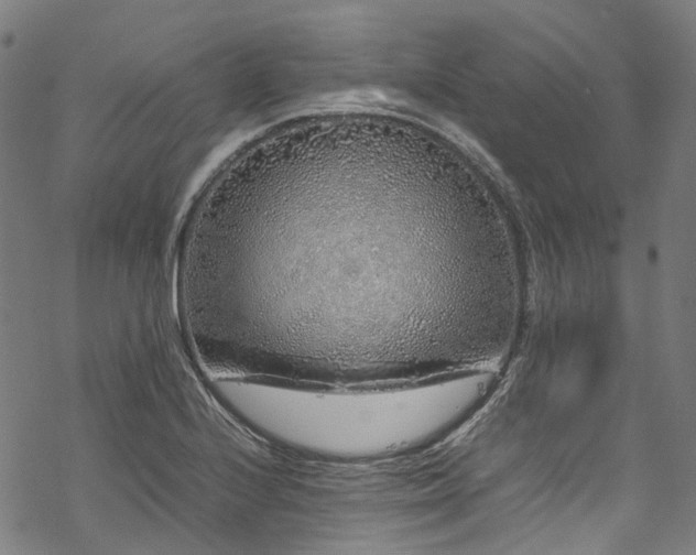 X0000070211224200605301354