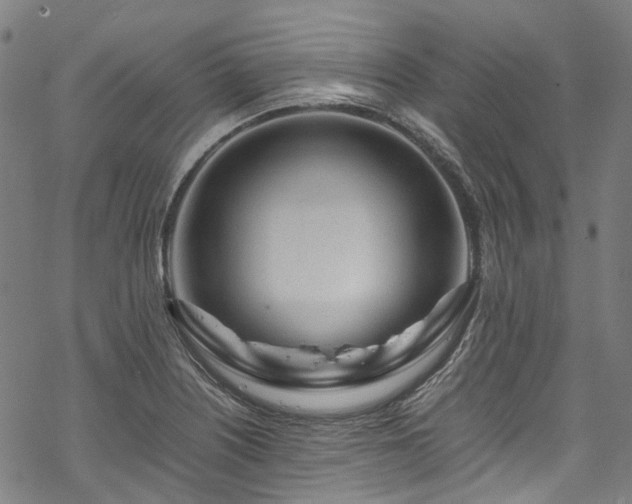 X0000070211226200605301354