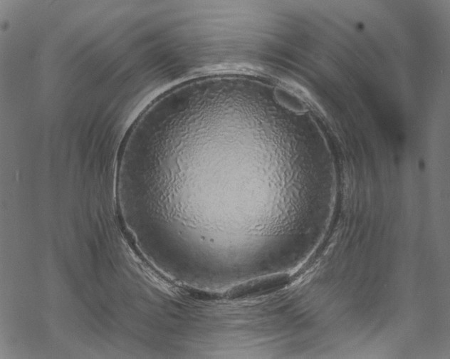 X0000070211228200605301354