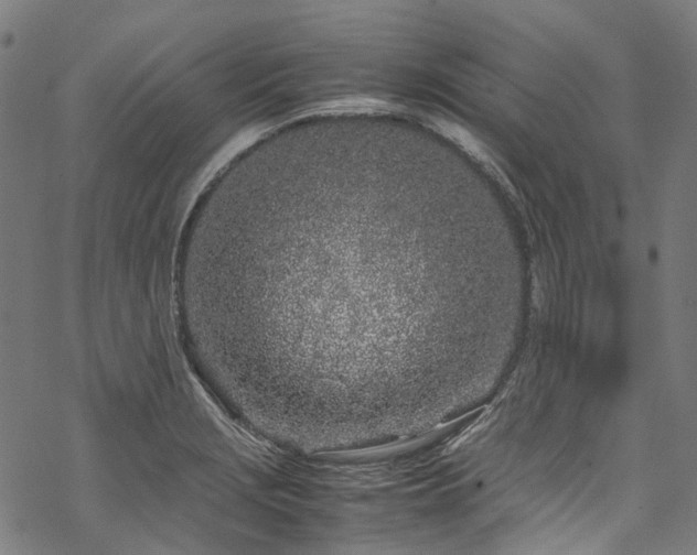 X0000070211229200605301354