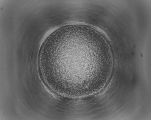 X0000070211231200605301354