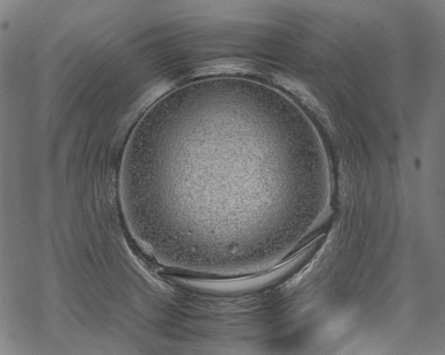 X0000070211233200605301354