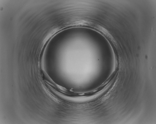 X0000070211234200605301354