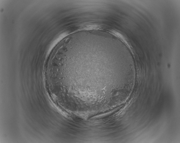 X0000070211235200605301354