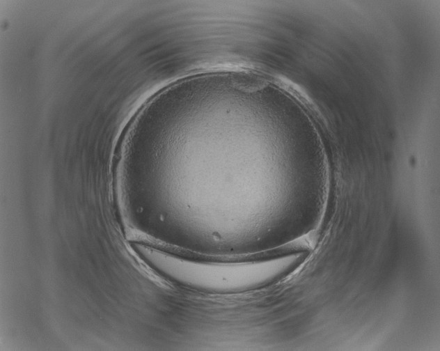 X0000070211236200605301354