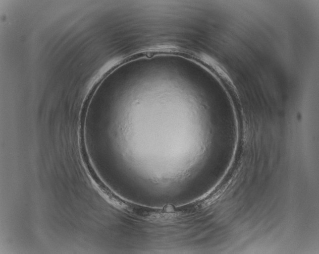 X0000070211237200605301354