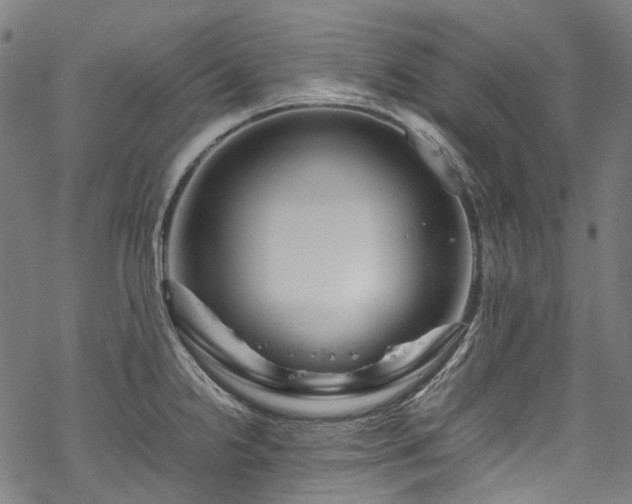 X0000070211238200605301354