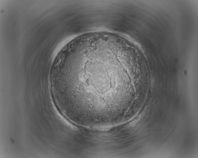 X0000070211239200605301354