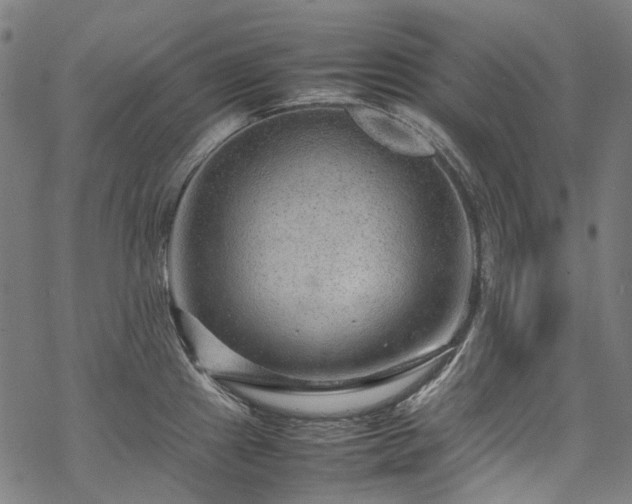 X0000070211241200605301354