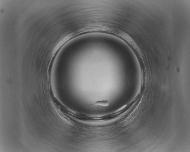 X0000070211242200605301354