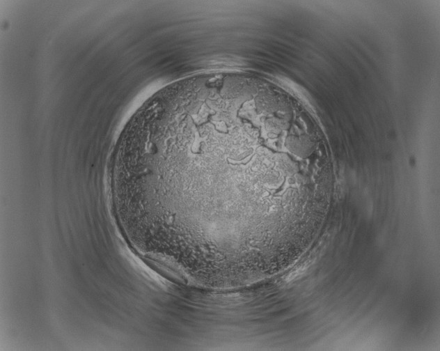 X0000070211243200605301354