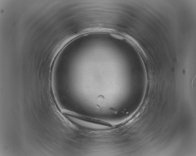 X0000070211244200605301354