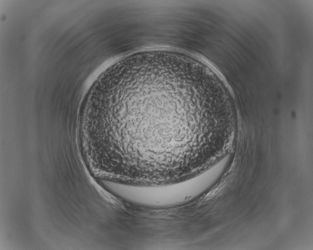 X0000070211245200605301354