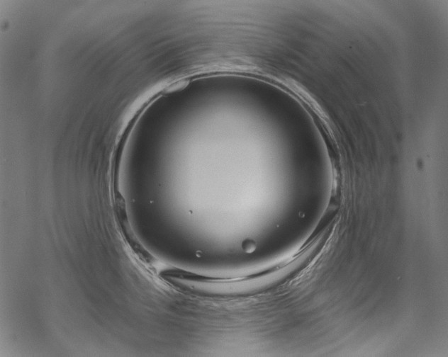 X0000070211246200605301354