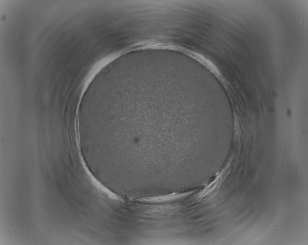 X0000070211247200605301354