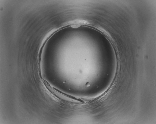 X0000070211248200605301354