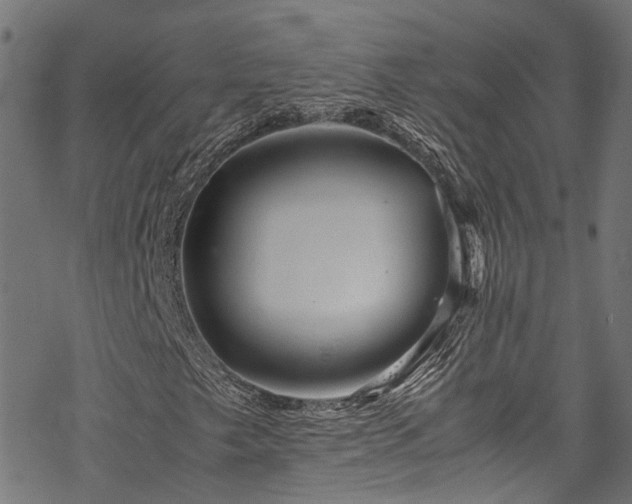 X0000070211249200605301354