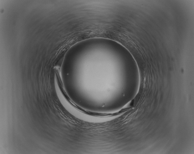 X0000070211250200605301354