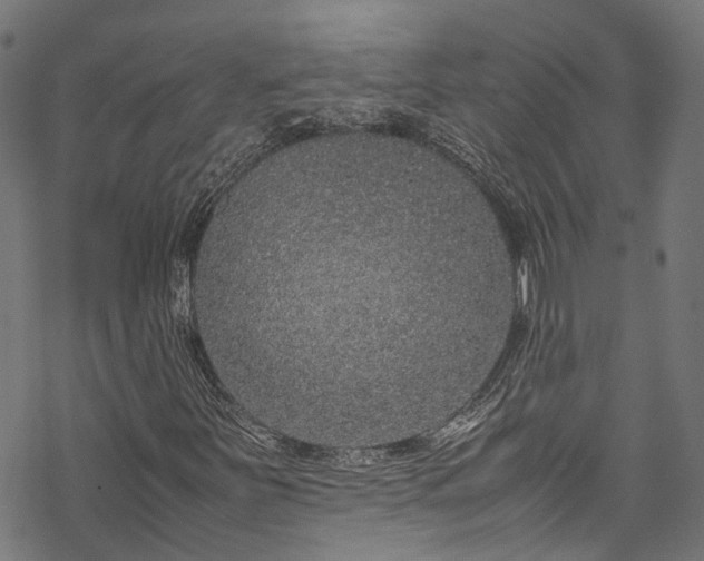 X0000070211251200605301354