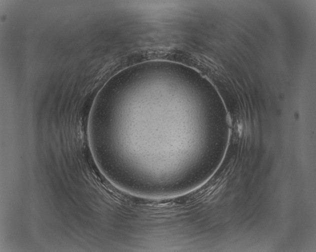 X0000070211252200605301354