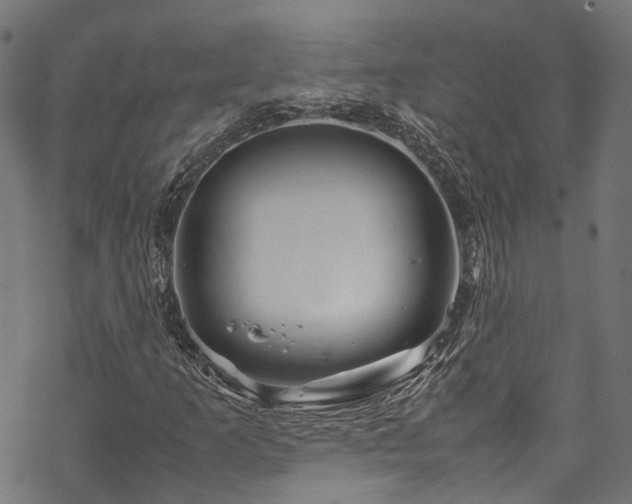 X0000070211253200605301354