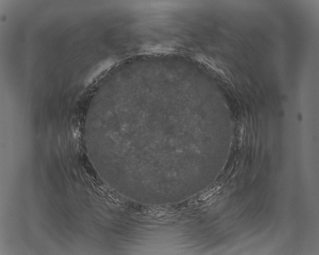 X0000070211254200605301354