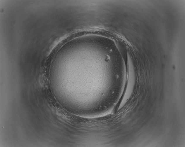 X0000070211256200605301354