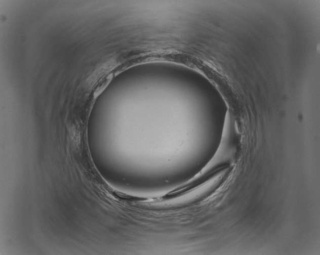 X0000070211257200605301354