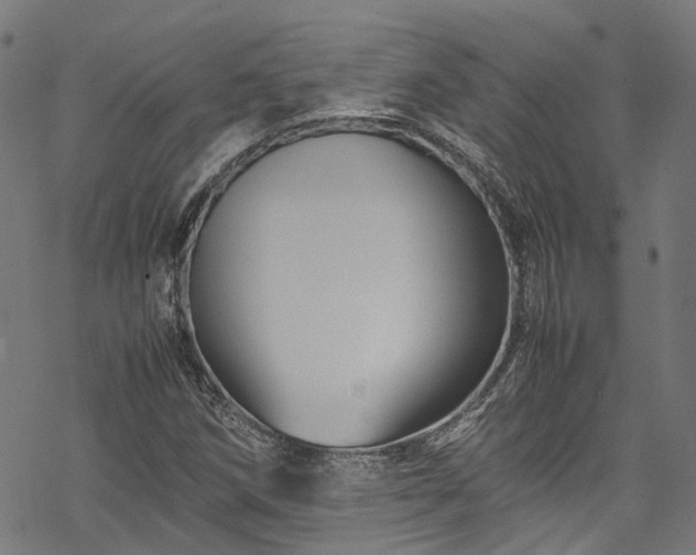 X0000070211258200605301354