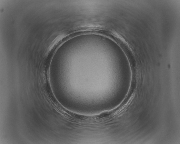 X0000070211259200605301353