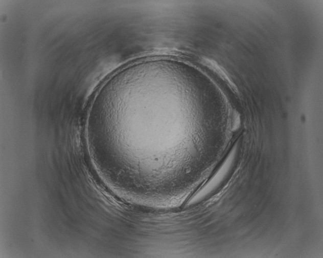 X0000070211260200605301353