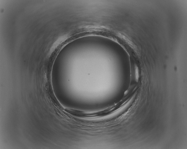 X0000070211261200605301353