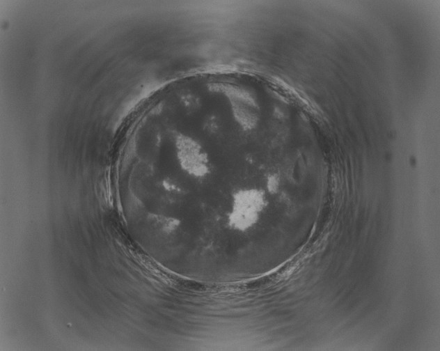 X0000070211262200605301353