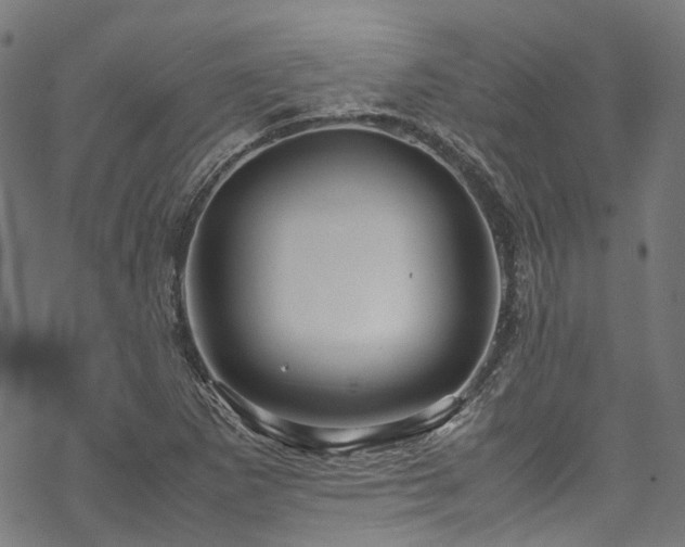 X0000070211265200605301353