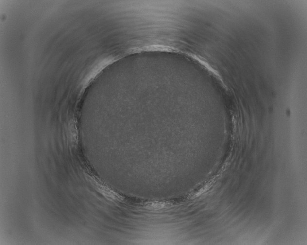 X0000070211266200605301353