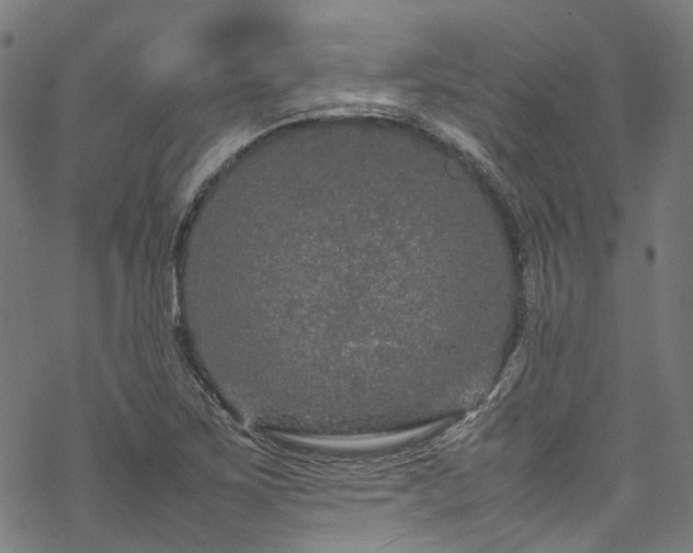 X0000070211267200605301353