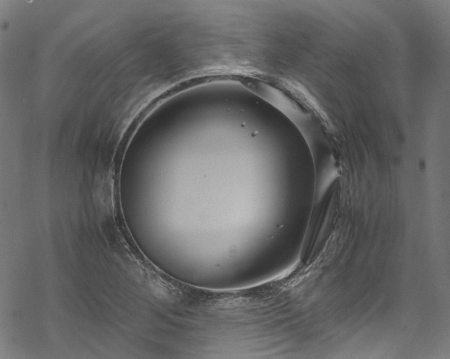 X0000070211268200605301353