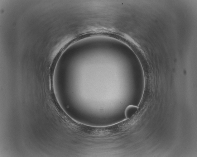 X0000070211269200605301353