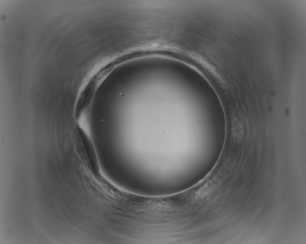 X0000070211270200605301353