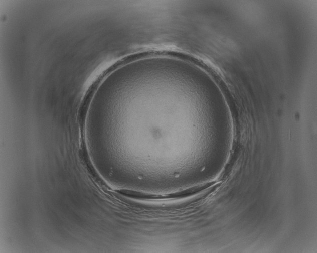 X0000070211271200605301353