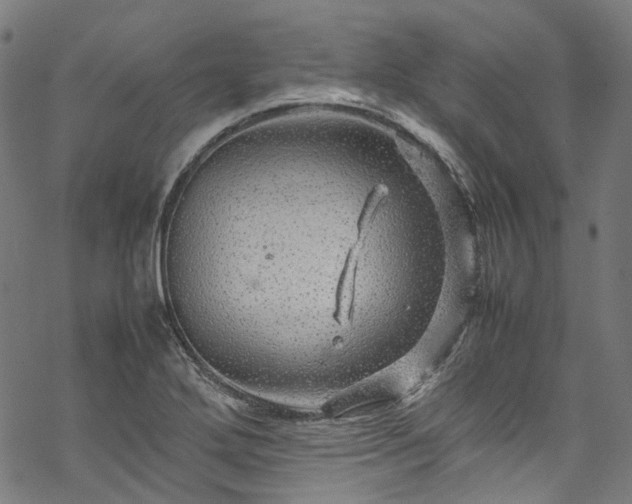 X0000070211272200605301353