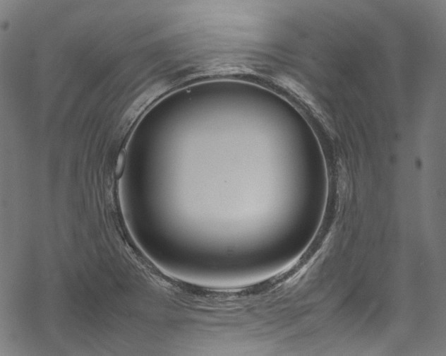 X0000070211273200605301353