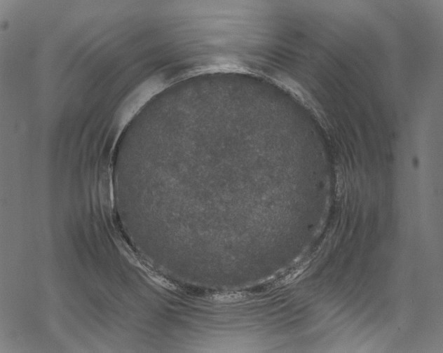 X0000070211274200605301353