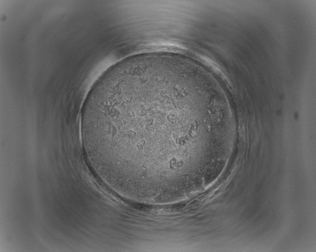 X0000070211275200605301353