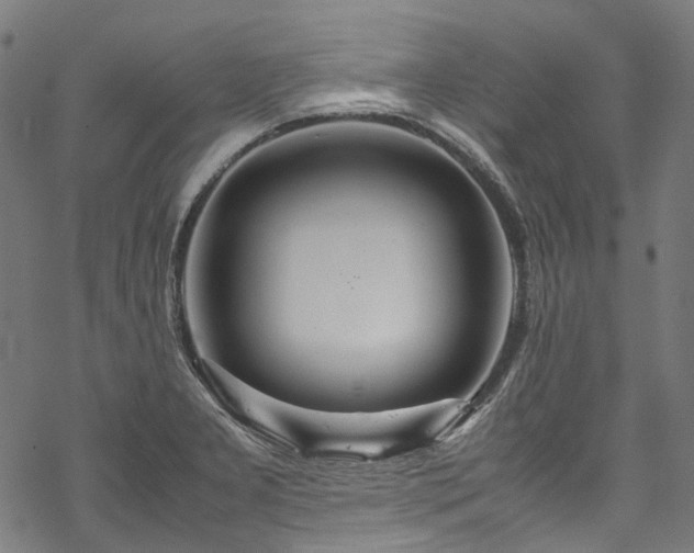 X0000070211277200605301353