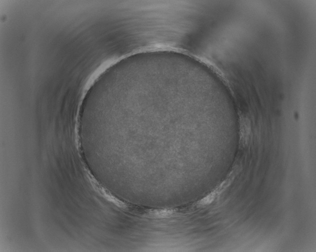 X0000070211278200605301353