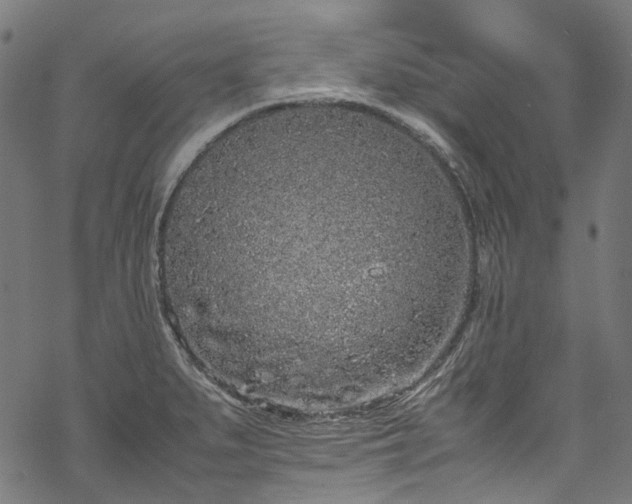 X0000070211279200605301353