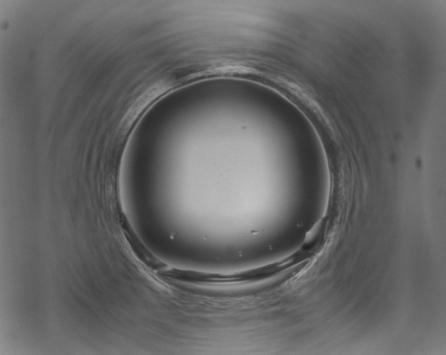 X0000070211281200605301353