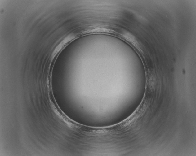 X0000070211282200605301353