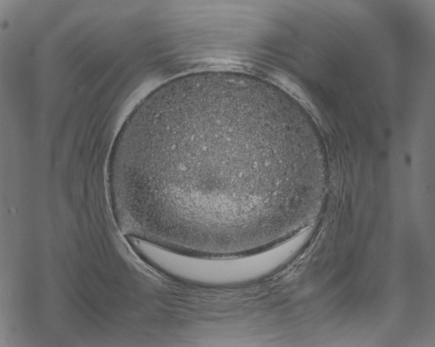 X0000070211283200605301353